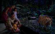 บัตรเข้าชม Night Safari | Mandai Wildlife Reserve, สิงคโปร์