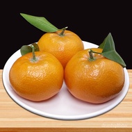 ปลูกง่าย เมล็ดนำเข้า ถูกที่สุด1000PACK 50pcs Bonsai Orange Tree Seeds Grow a Delicious Fruit Bearing