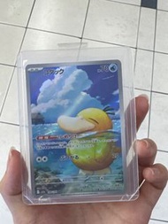 傻鴨A R