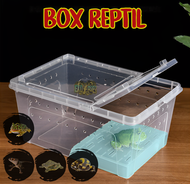 Box Reptil Enclosure Reptile Kandang Reptil Kandang Kura Kura Box Pacman Frog Box Salamander