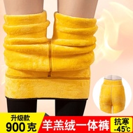 Superb Fleshcolor Pantynose Womens Fleece-lined Thick Skin Color Flesh-Colored Leggings Outwear Fall