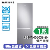 SAMSUNG 三星 RB30N4050B1-SH 290公升 下置式冷凍型 變頻 雙門雪櫃 亮麗銀色 保鮮2倍延長/強效除臭淨味過濾器