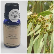 Eucalyptus Essential Oil - Eucalyptus