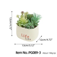 CEILO Kaktus Sukulen Imitasi | Succulent Artificial | Tanaman Kaktus Palsu | Sukulen Plastik Mini | 
