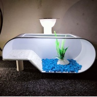 Aquarium Kura - Kura PVC Lengkap Lampu Dan Hiasan
