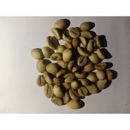 GREENBEAN, COFFEE BEANS, ROBUSTA COFFEE BEANS, LAMPUNG COFFEE BEANS, LAMPUNG COFFEE
