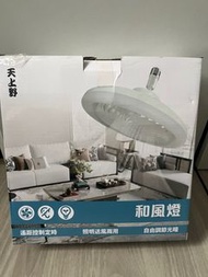 天上野和風燈 $100