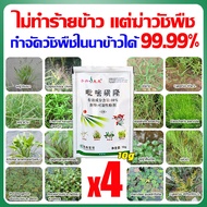 🌿งอก คุม+ฆ่าหญ้า🌿ยาฆ่าหญ้าในนาข้าว ยาฆ่าหญ้าข้าว ผงฆ่าหญ้า 10gซื้อ1แถม1ยาฆ่าหญ้าในนา 50ปีไม่มีวัชพืชขึ้นหลังใช้1ครั้ง ประหยัดข้าวจากวัชพืช คุมฆ่าในนาข้าว เห็นผลรวดเร็ว ระยะเวลานาน ยาคุมหญ้าข้าว สารกำจัดวัชพืชในนาข้าว ยาฆ่าหญ้า