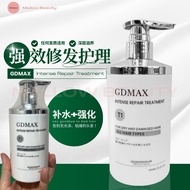 GDMAX Intense Repair Treatment 450ml