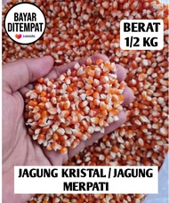 JAGUNG KRISTAL GRID A PAKAN BURUNG DARA BERAT 1/2KG | JAGUNG MERPATI | BENIH JAGUNG KRISTAL SUPER