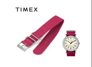 Timex 20mm 桃紅色 單層尼龍錶帶 Navy Nylon Strap Nato Strap 尼龍帶 錶帶 T7B912 - 包平郵
