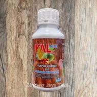 KALMIX BUAH 500 ml/ PUPUK NUTRISI VITAMIN ZPT SPESIALIS PEMBESAR BUAH DAN UMBI/ Pembobot buah dan umbi/ Pupuk Perangsang Buah/Pupuk Generatif/Pupuk Masa Pembuahan/Pupuk Peningkat Bobot Buah/Pupuk Bawang Merah/ Pupuk cair /Pupuk K14 Agroben/pupuk sayuran