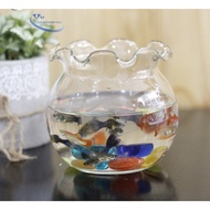 Glass fish tank/Desktop aquatic plant tank with duck mouth 30cm wide and 25cm high