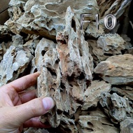 Tiger Stone Aquarium Setup - Tiger Stone for Aquarium Decoration (500G)