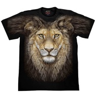 ROCK CHANG FHD43 Luminous Screen T-Shirt