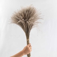 Natural Pampas Hay Dried Flower Bouquet Cloud South Reed Soft Fur Dust Bohemian Wedding Decoration