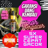 5X LEBIH GACOR!! Vitamin Burung Murai Super GacorVitamin Burung Murai TerbaikVitamin Burung Murai Tr