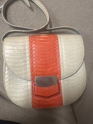 Celine Shoulder Bag 水蛇皮馬鞍包包Trotteur cross-body bag