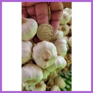 ❧ ◐ ◵ 1kg Medium Native Ilocos Bawang (Bundled per kilo)