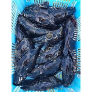 Sabah Dragon Tiget Grouper