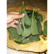 TAPAI PULUT DAUN GETAH | TAPAI  ORIGINAL| BUAT BILA ORDER
