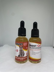 obat penyakit kuning(hepatoprotektor) kucing