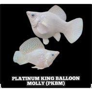 pkbm trio sticker for your decals