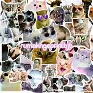 CUTE CAT - LARGE WATERPROOF STICKER PACK | WATERPROOF