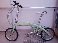 Oyama dolphin