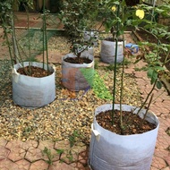 Bộ 5 Túi Trồng Cây 2 Quai Φ50*H40 Túi Trồng Cây Công Trình Bằng Vải Địa Kỹ Thuật Không Dệt