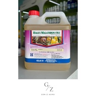(4L) Halex Insecticide Malathion 57EC (Malathion 57%) / Racun Serangga / 杀虫剂