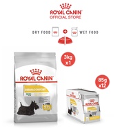 [เซตคู่สุดคุ้ม] Royal Canin Mini Dermacomfort 3kg + [ยกกล่อง 12 ซอง] Royal Canin Dermacomfort Pouch Loaf อาหารเม็ดสุนัขโตพันธุ์เล็ก + อาหารเปียกสุนัขโต สำหรับผิวแพ้ง่าย อายุ 10 เดือนขึ้นไป (โลฟเนื้อละเอียด Dry Dog Food Wet Dog Food โรยัล คานิน)