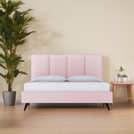 Camellia Bed - King | Queen | Super Single | Single - Storage Bed | Divan Bed | Drawer Bed | Sofa - Free Delivery