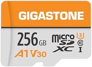 GIGASTONE 256GB Micro SD Card, A1 V30 4K Video Recording, MicroSDXC Memory Card for Nintendo-Switch,