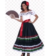 Mexico costume UN costume /DAY carnival costume
