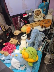 Jellycat艾迪大象Jellycat泳圈雨蛙 Jellycat巴塞罗熊冬日JELLYCAT 害羞系列 Jellycat黑白色小狗 Jellycat黑拉布拉多犬 Jellycat法棍面包 Jelly