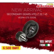 MALOSSI Final Drives Set For GTS 300 IE ART NO: 6714844