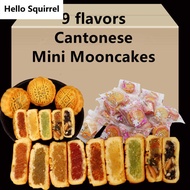 Cantonese Mini Mooncakes 广式迷你月饼 Five-Nen Moon Cake Black Sesame Fruit Mooncakes Multi-flavored Mid-A