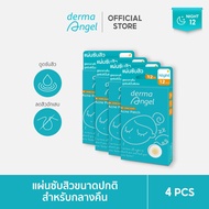 Derma Angel เดอม่า แองค์เจิ้ล แผ่นแปะสิวสูตรกลางคืน 12 ชิ้น