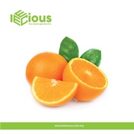 Fresh Valencia Orange 8pcs Fresh Fruits