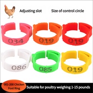 200Pcs Chicken Foot Ring 2mm To 2.4cm Retractable Poultry Foot Ring