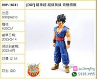 預訂Pre-order - [DXF] 龍珠超 超級英雄 究極悟飯