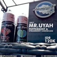 Mr Uyah Salt Nic - Peppermint - Strawberry Cheesecake - E Liquid Vape