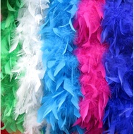 2M Costume Feather Boa Strip DIY Craft Grament Accessaries Feathers Fluffy Party Decoration Party Fa