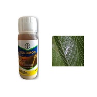 Bayer Solomon (500ML) Racun Serangga Thrips Lalat Putih / Whiteflies