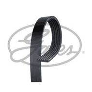 Front Engine Belt 6PK LEXUS GS200t ARL10 2015-2020 RC200t RC300 ASC10 2015- 8AR 2.0 GATES