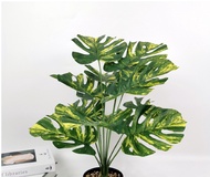 [พร้อมส่ง]เฉพาะต้นไม้ปลอมมอนสเตอร่าด่าง (Monstera) สูง 61 ซม.