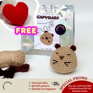 Amigurumi Capybara DIY Kit Cute Crochet Yarn Beginner Kit Crochet Kit