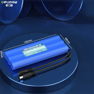 Delipow | ชุดแบตเตอรี่ชาร์จไฟได้ Li-ion ความจุสูง 24V