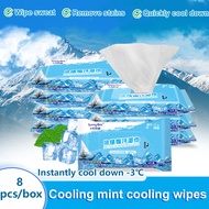 Portable Small Pack Wet Wipes Sweat Ice Wet Wipes Carrying Cleansing Small Pack Cooling Wet Wipes